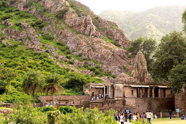 Wildlife Around Bhangarh: What Actually Lives There